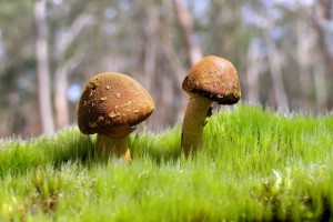 世界举重联赛：恢复科技化应用助力参赛可持续性，世界举重冠军赛